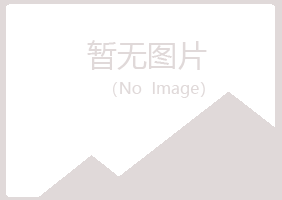 五原县夜山能源有限公司